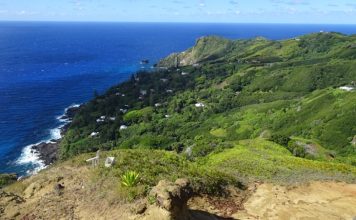 Pitcairn Adaları Mutfağı, Güney Pasifik’in en küçük yerleşim yerlerinden biri olan Pitcairn Adaları’nın geleneksel beslenme alışkanlıklarını ve kültürel mirasını yansıtır. Ada halkı, yüzyıllardır deniz ürünleri, tropikal meyveler ve kök sebzelerle kendine özgü tarifler geliştirmiştir. Hindistancevizi, taro, balık ve muz, Pitcairn mutfağının temel ögeleri arasında yer alır. Konulu bir haber görseli.