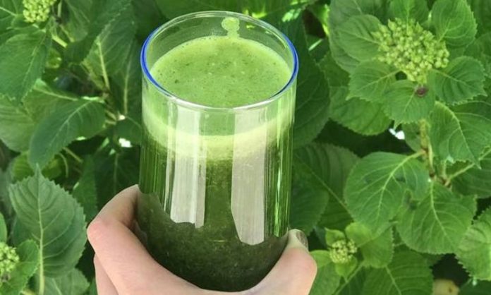 Bitkisel Detoks ile Doğal Arınma ve Sağlıklı Yaşam Rehberi Bitkisel detoks, vücudu toksinlerden arındırmak, sindirim sistemini desteklemek ve enerji seviyesini artırmak için son yıllarda popüler bir beslenme yöntemi haline geldi. Taze sebze, meyve ve bitkisel çaylar ile yapılan bu uygulamalar, hem bedensel hem de zihinsel sağlığı destekler. Bitkisel detoks, doğru uygulandığında metabolizmayı düzenler, bağışıklık sistemini güçlendirir ve yaşam kalitesini artırır. İnsanlar, kısa süreli veya düzenli olarak yapılan bitkisel detoks programları ile sağlıklı yaşam alışkanlıklarını pekiştiriyor. Konulu bir haber görseli.