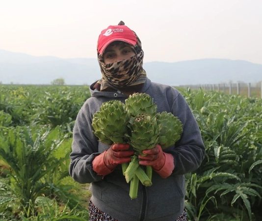 Günümüzde gıda tüketimi yalnızca karın doyurmaya yönelik bir alışkanlık olmaktan çıkarak bilinçli bir tercihe dönüşüyor. Bu dönüşümün merkezinde yer alan Topraktan Tabağa anlayışı, gıdanın üretim sürecinden tüketim anına kadar geçen yolculuğunu görünür kılıyor. Tüketiciler artık yalnızca ne yediklerini değil, yedikleri ürünlerin nereden geldiğini, nasıl üretildiğini ve hangi aşamalardan geçtiğini de bilmek istiyor. Konulu bir haber görseli.