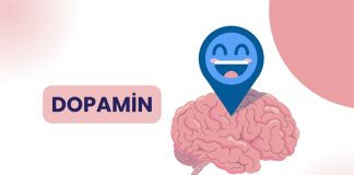 Modern yaşamda motivasyon eksikliği, odaklanma sorunları ve zihinsel yorgunluk giderek daha sık konuşulan konular arasında yer alıyor. Bu noktada beynin ödül ve motivasyon sistemiyle doğrudan ilişkili olan dopamin hormonu ön plana çıkıyor. Dopamin diyeti, yalnızca fiziksel ihtiyaçlara değil, zihinsel performans ve ruhsal dengeye de odaklanan bütüncül bir beslenme yaklaşımı olarak dikkat çekiyor. Konulu bir haber görseli.