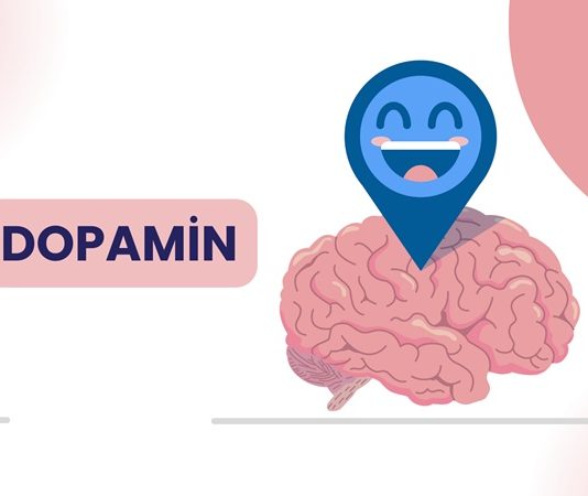 Modern yaşamda motivasyon eksikliği, odaklanma sorunları ve zihinsel yorgunluk giderek daha sık konuşulan konular arasında yer alıyor. Bu noktada beynin ödül ve motivasyon sistemiyle doğrudan ilişkili olan dopamin hormonu ön plana çıkıyor. Dopamin diyeti, yalnızca fiziksel ihtiyaçlara değil, zihinsel performans ve ruhsal dengeye de odaklanan bütüncül bir beslenme yaklaşımı olarak dikkat çekiyor. Konulu bir haber görseli.