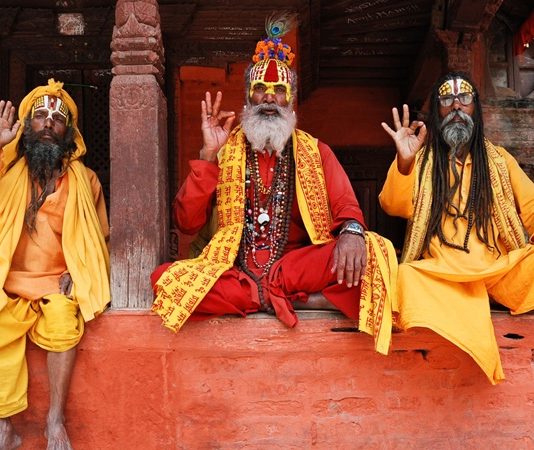Hindu kültürü içinde beslenme, yalnızca fiziksel ihtiyaçları karşılayan bir alışkanlık değil, aynı zamanda ruhsal saflığı ve etik yaşamı destekleyen önemli bir unsurdur. Hindu diyeti, binlerce yıllık inançlar, felsefi yaklaşımlar ve kültürel gelenekler doğrultusunda şekillenmiş bir beslenme anlayışı sunar. Bu diyet, bireyin bedenini olduğu kadar zihnini ve ruhunu da beslemeyi hedefler. Konulu bir haber görseli.