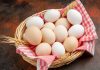 Yumurta, protein ve vitamin açısından zengin bir gıda olarak birçok kişinin beslenme rutininde yer alır. Ancak bazı bireylerde ciddi alerjik reaksiyonlara neden olabilir. Yumurta alerjisi, özellikle çocuklarda yaygın görülen bir durumdur ve doğru diyet planlaması ile güvenli bir şekilde yönetilebilir. Bu nedenle yumurta alerjisine uygun beslenme, hem sağlığı korumak hem de yaşam kalitesini artırmak açısından büyük önem taşır. Konulu bir haber görseli.