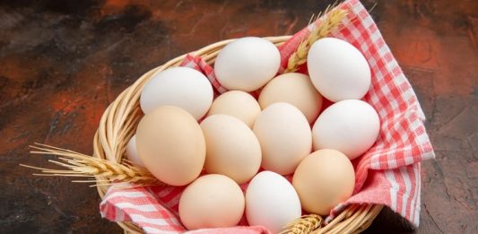 Yumurta, protein ve vitamin açısından zengin bir gıda olarak birçok kişinin beslenme rutininde yer alır. Ancak bazı bireylerde ciddi alerjik reaksiyonlara neden olabilir. Yumurta alerjisi, özellikle çocuklarda yaygın görülen bir durumdur ve doğru diyet planlaması ile güvenli bir şekilde yönetilebilir. Bu nedenle yumurta alerjisine uygun beslenme, hem sağlığı korumak hem de yaşam kalitesini artırmak açısından büyük önem taşır. Konulu bir haber görseli.