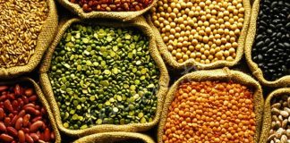 Baklagil proteini, son yıllarda sağlıklı yaşam ve bitki temelli beslenme trendlerinin yükselmesiyle birlikte daha fazla ilgi gören besin unsurlarından biri haline gelmiştir. Mercimek, nohut, fasulye ve bezelye gibi baklagillerden elde edilen bu protein türü, hem doğal yapısı hem de besleyici içeriğiyle dikkat çekmektedir. Hayvansal proteinlere alternatif arayan bireyler için baklagil proteini, dengeli ve sürdürülebilir bir beslenme anlayışının önemli bir parçası olarak öne çıkmaktadır. Konulu bir haber görseli.