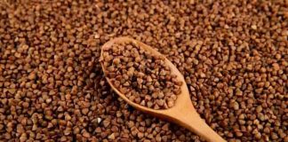 Son yıllarda beslenme alışkanlıklarında yaşanan dönüşüm, geleneksel ürünlerin yeniden keşfedilmesini sağladı. Bu ürünlerin başında gelen karabuğday tüketimi, özellikle sağlıklı yaşam ve dengeli beslenme arayışında olan bireylerin dikkatini çekiyor. Tahıl olarak bilinse de aslında farklı bir bitki grubuna ait olan karabuğday, doğal yapısı ve kullanım çeşitliliğiyle mutfaklarda giderek daha fazla yer buluyor. Konulu bir haber görseli.