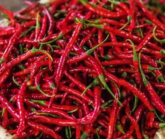 Kırmızı Biberin Sofralardaki Renkli Yolculuğu Kırmızı biber, mutfak kültürünün en dikkat çekici ve en yaygın kullanılan ürünlerinden biri olarak hem rengi hem de aromasıyla öne çıkar. Tatlıdan acıya uzanan geniş lezzet skalası sayesinde kırmızı biber, farklı damak zevklerine hitap edebilen nadir gıda ürünleri arasında yer alır. Dünya mutfaklarında önemli bir yere sahip olan bu ürün, sadece yemeklere tat katmakla kalmaz, aynı zamanda görsel açıdan da sofralara canlılık kazandırır. Konulu bir haber görseli.
