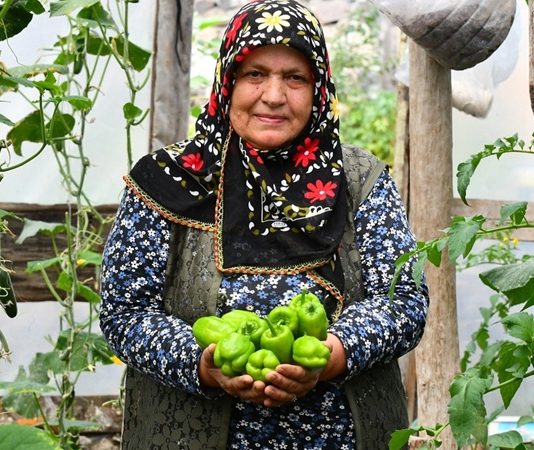 Son yıllarda sağlıklı yaşam arayışının artmasıyla birlikte organik sebzeler gıda tercihlerinde çok daha görünür hale geldi. Tüketiciler artık sadece doyurucu değil, aynı zamanda doğaya ve insan sağlığına zarar vermeyen ürünlere yöneliyor. Bu yönelim, tarım anlayışını da kökten değiştirirken, kimyasal girdilerden uzak üretim modellerini ön plana çıkarıyor. Özellikle şehir hayatının getirdiği hızlı tüketim alışkanlıkları, insanları daha bilinçli seçimler yapmaya itiyor. Konulu bir haber görseli.