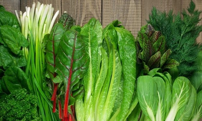Yeşillik Ve Otlarla Doğal Beslenmenin Gücü Artıyor Günlük beslenme alışkanlıklarında sadeleşme ve doğala yönelme eğilimi giderek güçlenirken, yeşillik ve otlar bu dönüşümün merkezinde yer alıyor. Sofralarda daha fazla yer bulmaya başlayan bu ürünler, yalnızca lezzet unsuru olarak değil, aynı zamanda sağlıklı yaşamın temel bileşenleri olarak görülüyor. Doğadan doğrudan gelen bu besinler, minimal işlemle tüketildiği için besin değerlerini büyük ölçüde koruyor. Konulu bir haber görseli.